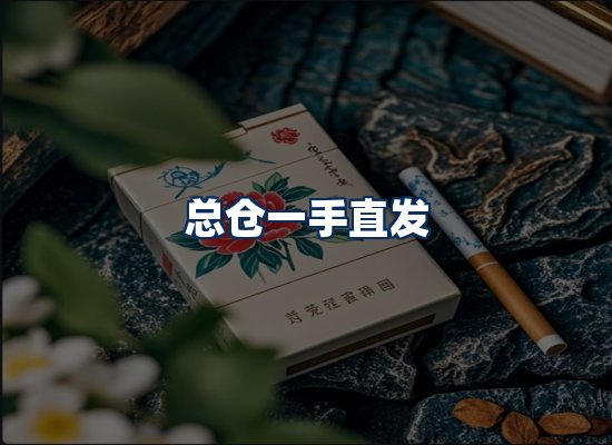 专业团队办公环境